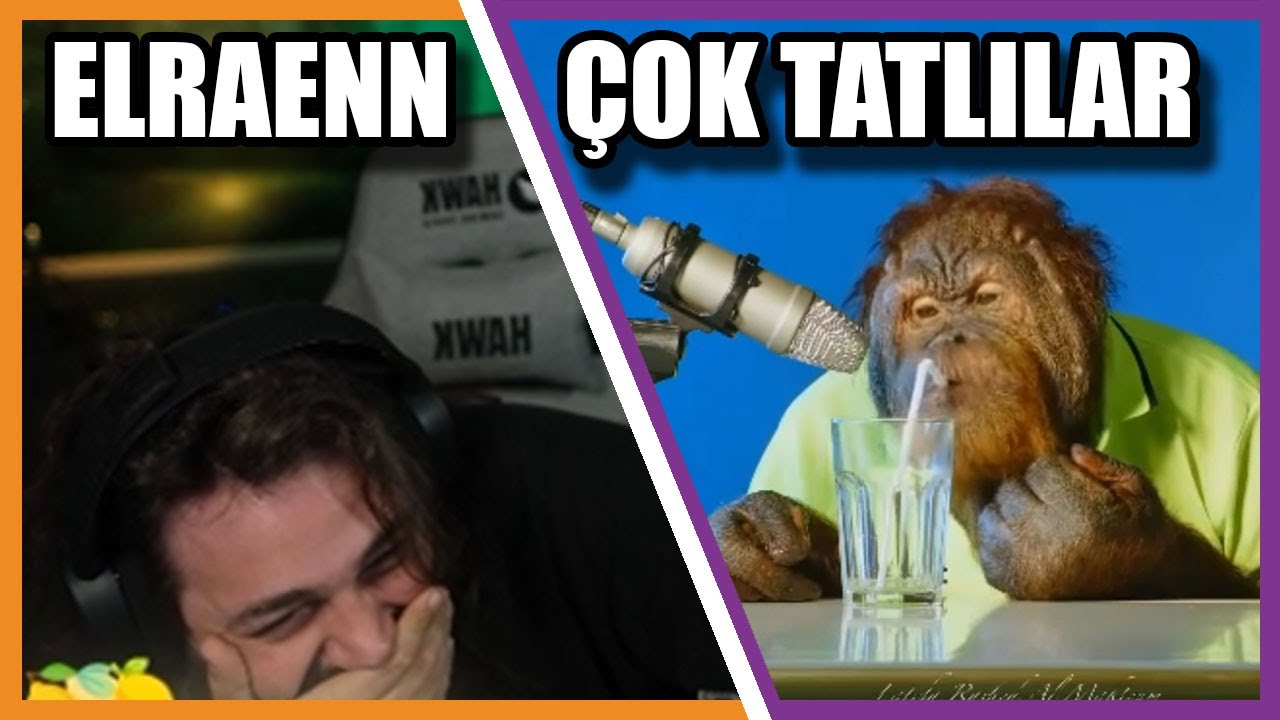 Elraenn - Orangutan ASMR İzliyor