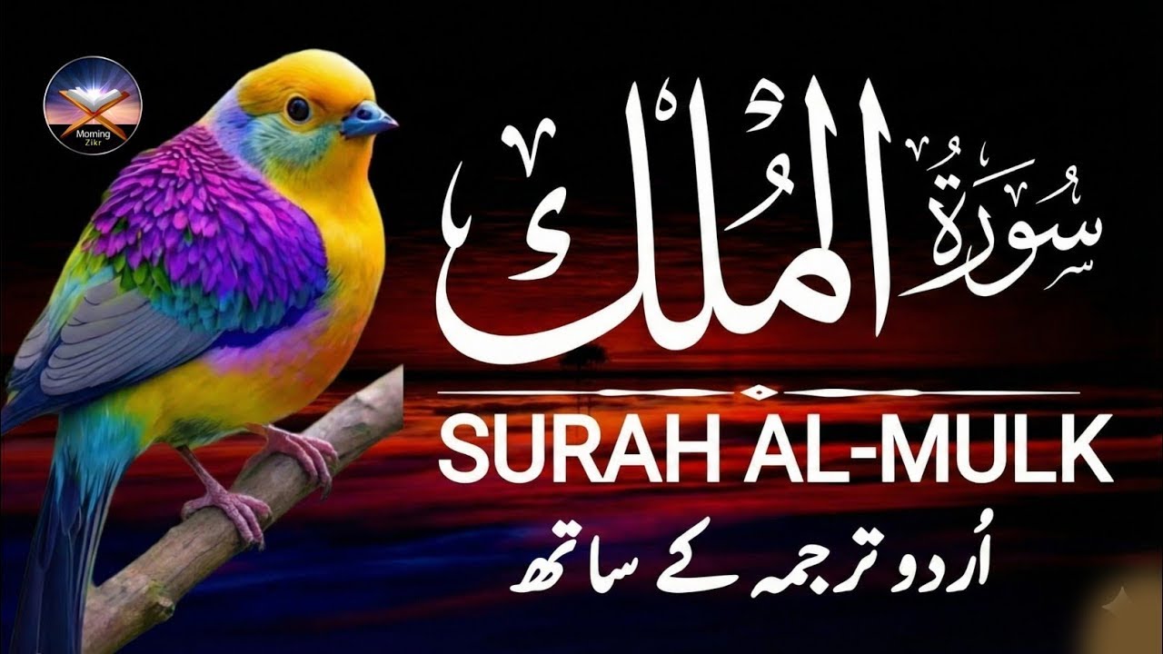Beautiful Surah Al-Mulk Recitation - Calm Your Heart & Mind Before Sleep | #surahmulk