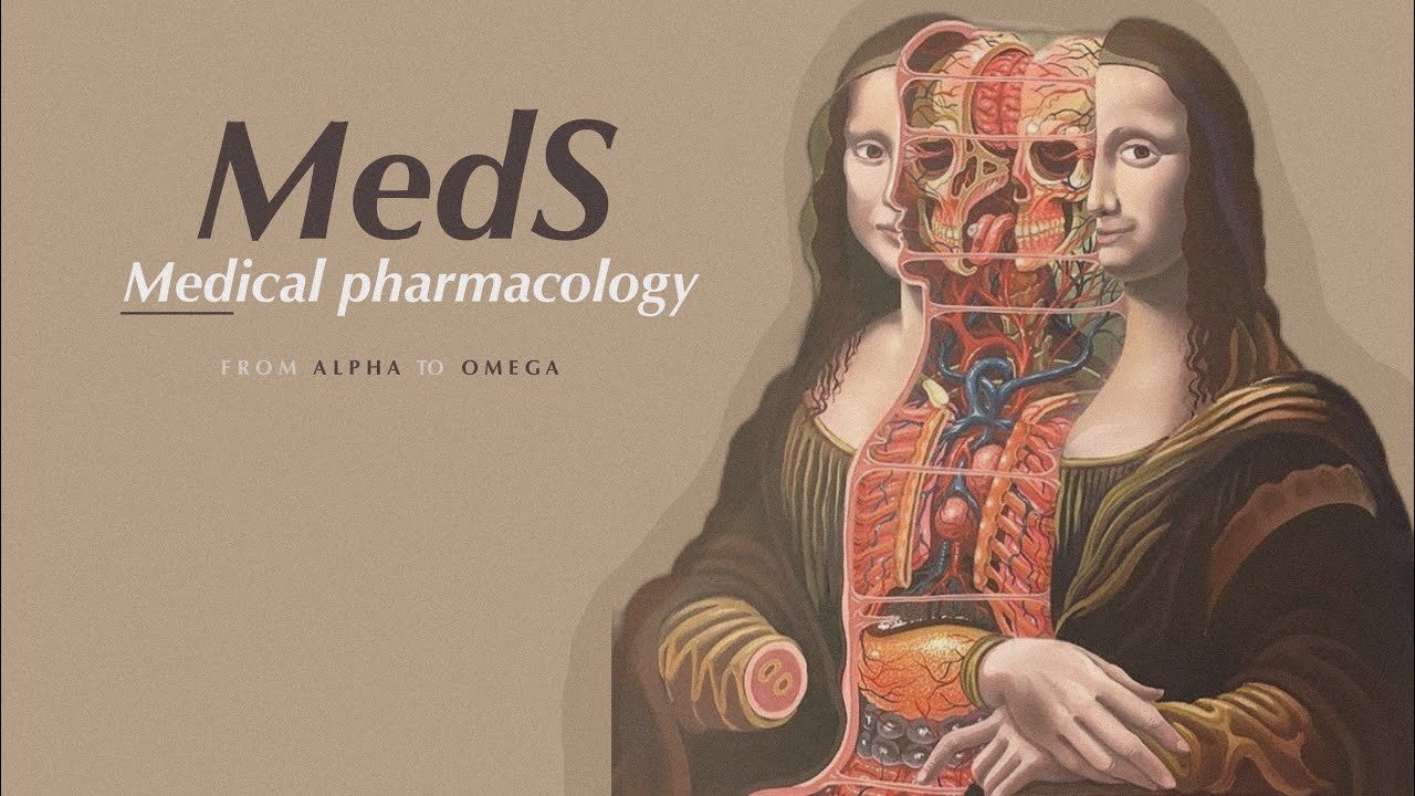 MedS إنطلاق كورس
