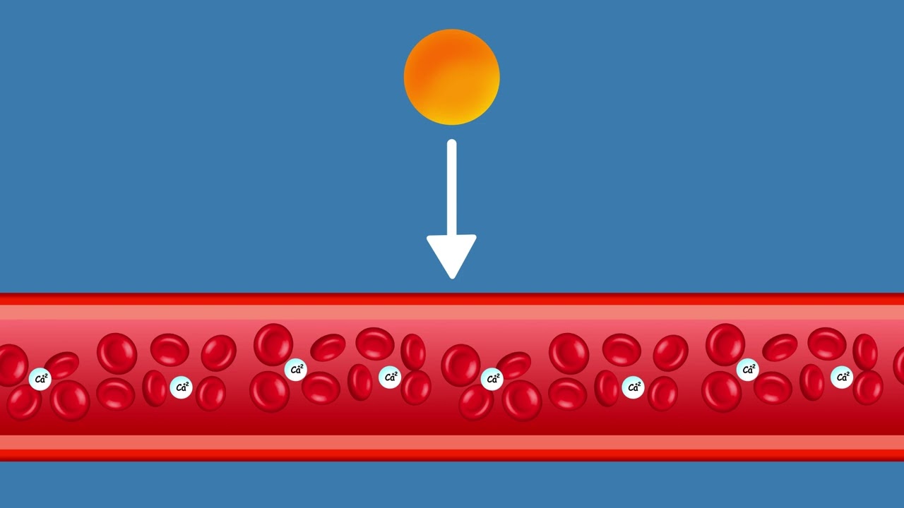 Vitamin D explained in 2D animation