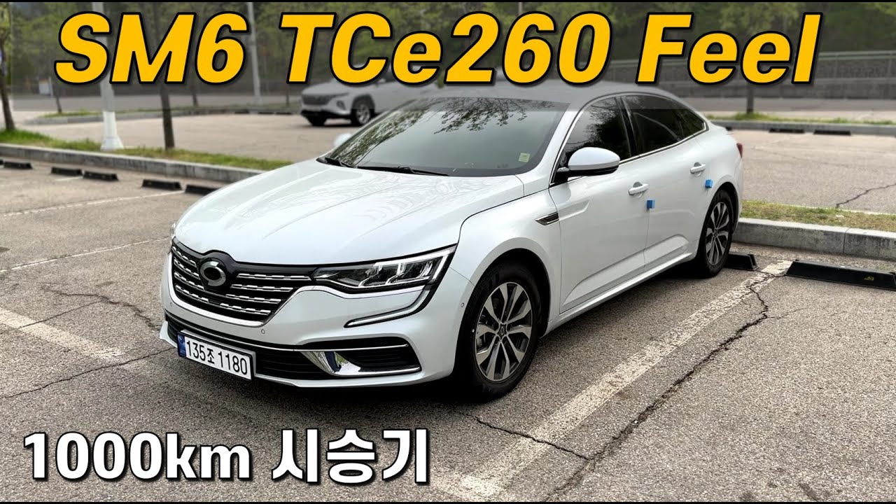 르노코리아 SM6 TCe260 Feel 시승기 (1000km 주행)