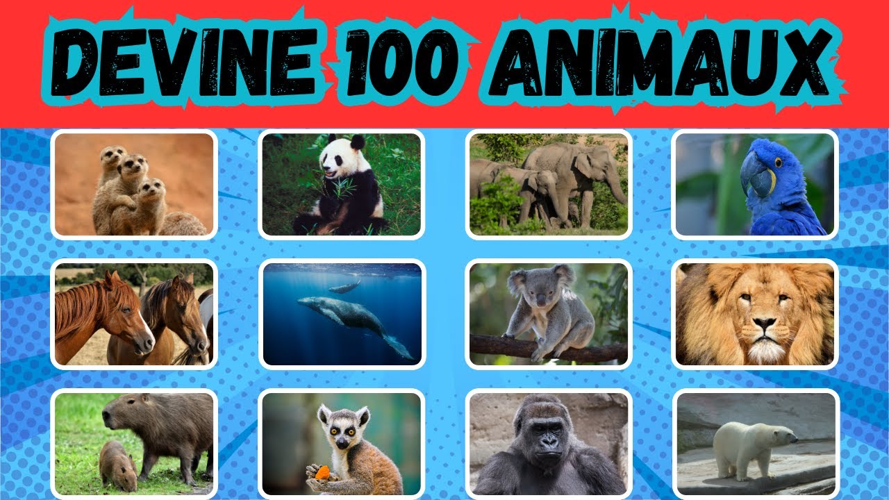 DEVINE 100 ANIMAUX EN 4 SECONDES  FACILE À DIFFICILE #quiz #trivia #quizchallenge #quiztime
