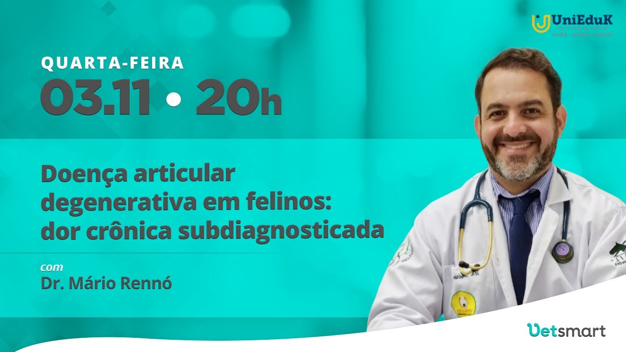 Doença articular degenerativa em felinos: dor crônica subdiagnosticada