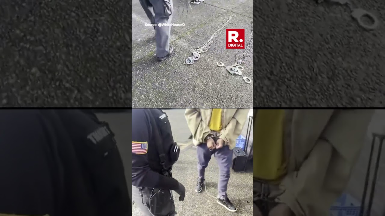 White House Shares 'ASMR' Video Showing Deportees in Chains During Deportation Flight