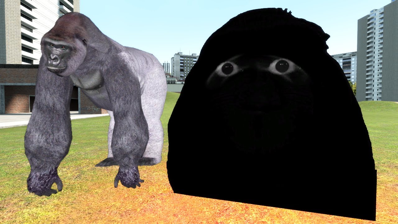 Meeting MUNCI'S MOM