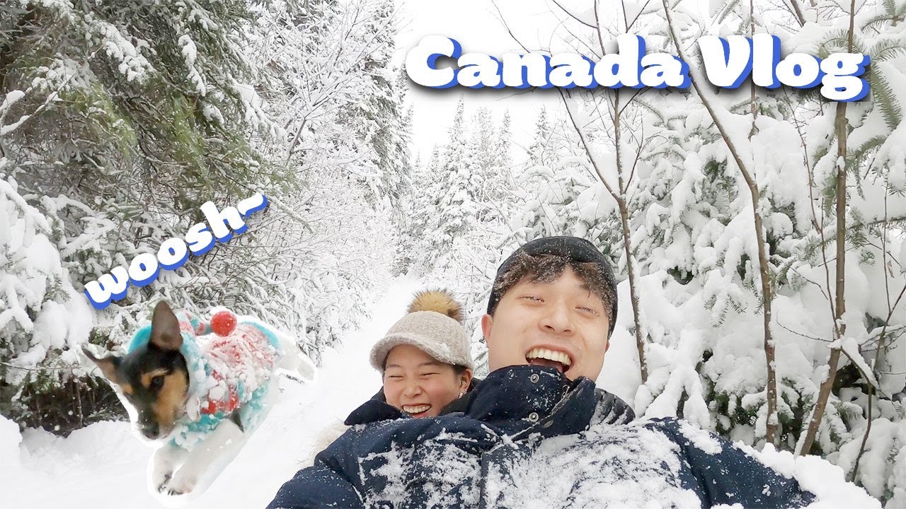 Winter Day Trip with Our Jack Russell! | SLEDDING, CANADA, WINTER