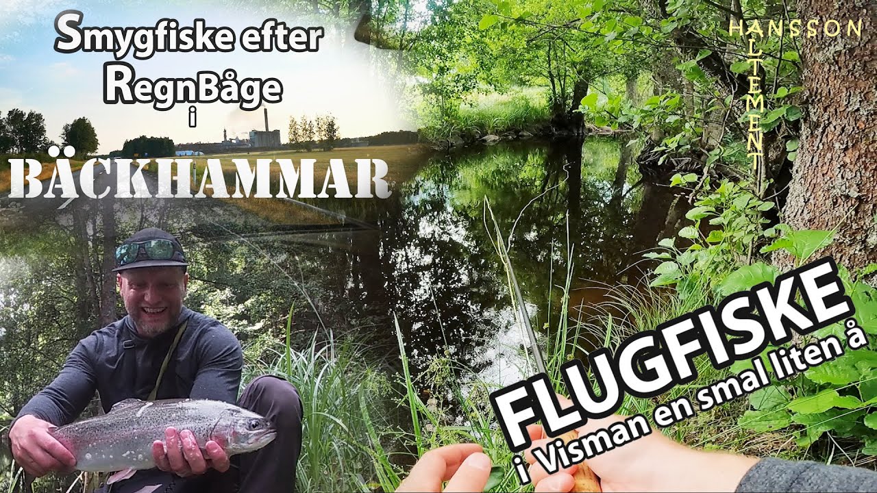Smygfiske efter Regnbåge i Visman, en liten å i Bäckhammar