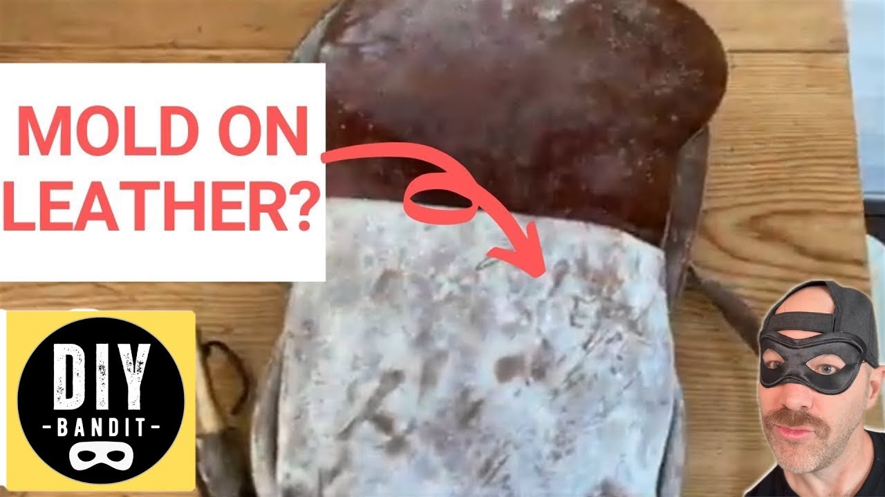 ️🔥 How to Get Rid of White Powdery Mold / Mildew on Leather➔ (Safely Clean 100% Genuine Leather)