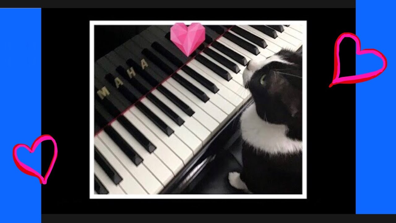 ❤️ SAYING SOMETHING STUPID LIKE I LOVE YOU* - SOMETHING STUPID PIANO-SOMETHING STUPID PIANO COVER*