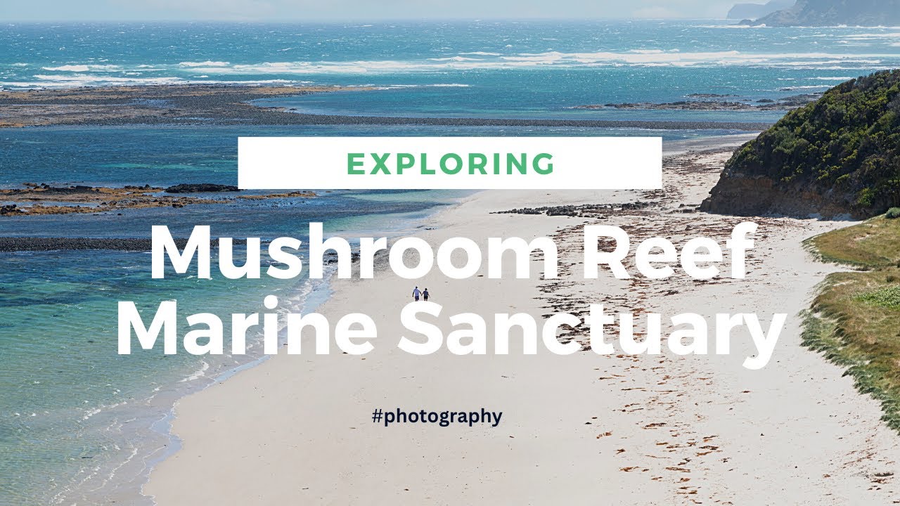 Mushroom Reef Marine Sanctuary - Flinders Blowhole and Cape Schanck Lighthouse #photography