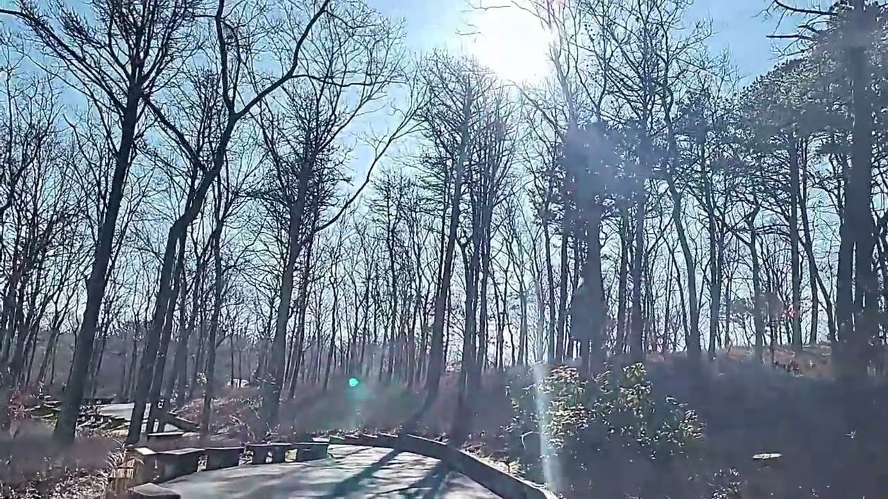 Unintentional ASMR, Woodsy Walk Around Christian Shrine, Manorville NY (relaxing, footsteps, woods)