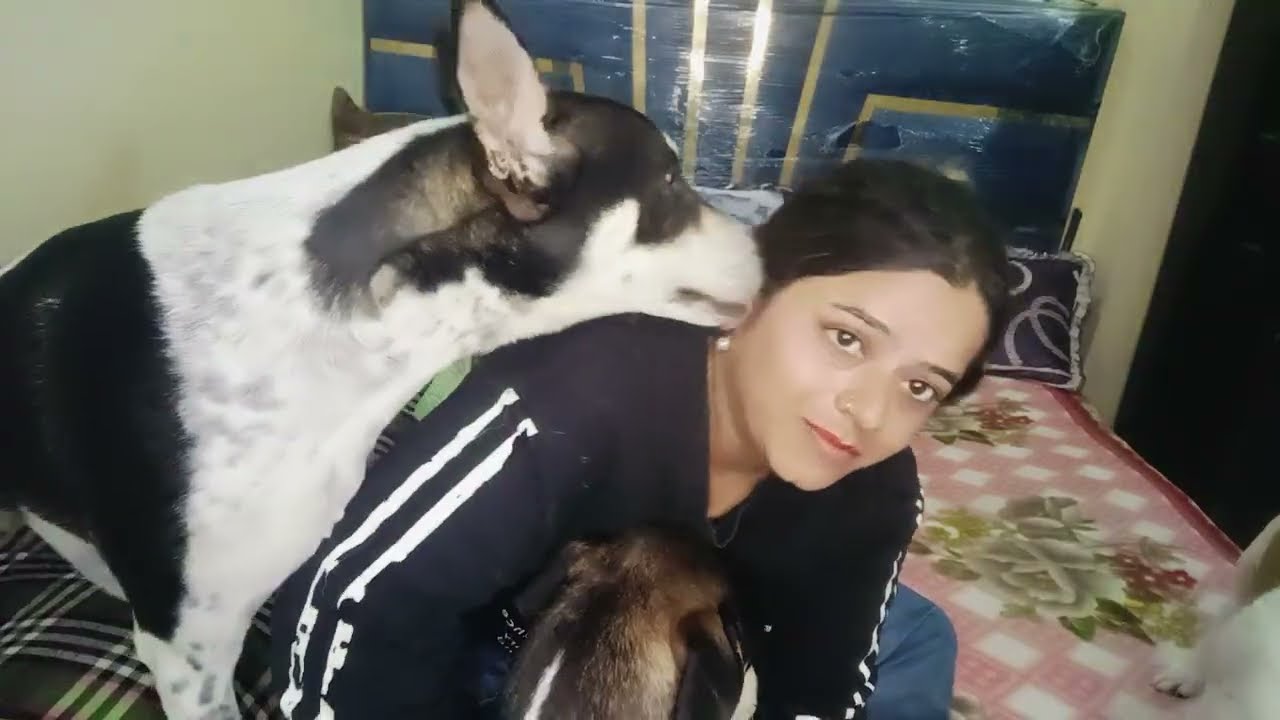Aaj bohot thakan ho gai 😴 pura din nikal gaya mera aaj 🐕 bhag daud mein 🏡🌺❤️🐕 #vlogs 