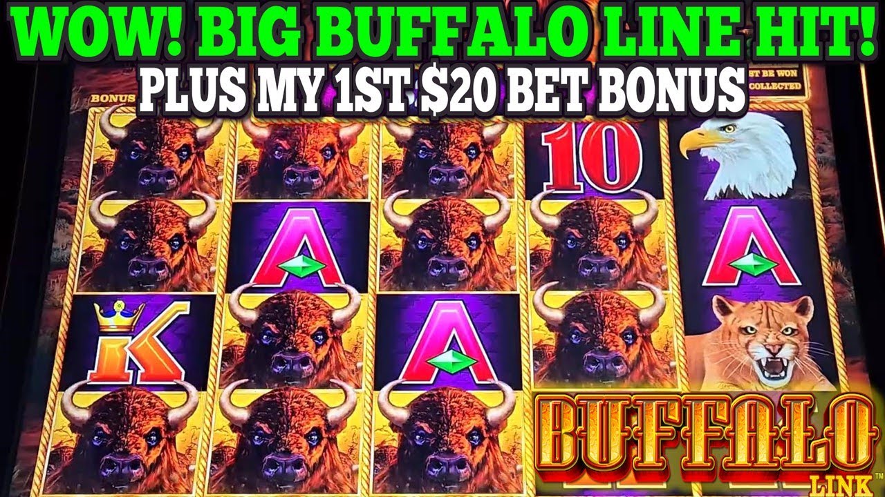 О боже! Мой самый крупный бонус за ставку на слоте Buffalo Link, и погоня за счетчиком приносит о...