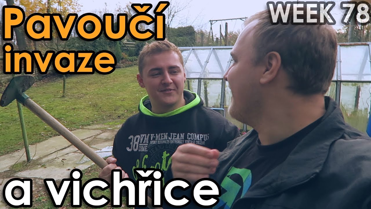 Pavoučí invaze a vichřice - WEEK #78