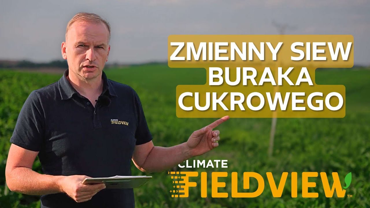 ZMIENNY SIEW BURAKA CUKROWEGO - Climate FieldView