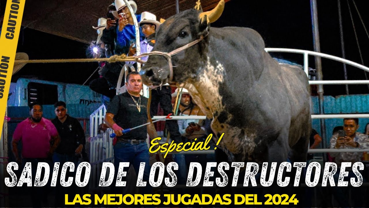 LAS MEJORES JUGADAS DEL FENÓMENO DE LOS RUEDOS | EL SADICO DE LOS DESTRUCTORES