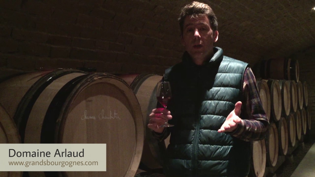 Rencontre avec Cyprien Arlaud : Domaine Arlaud