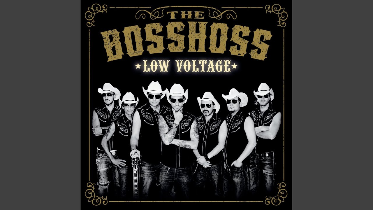 Shake & Shout (Low Voltage Version)