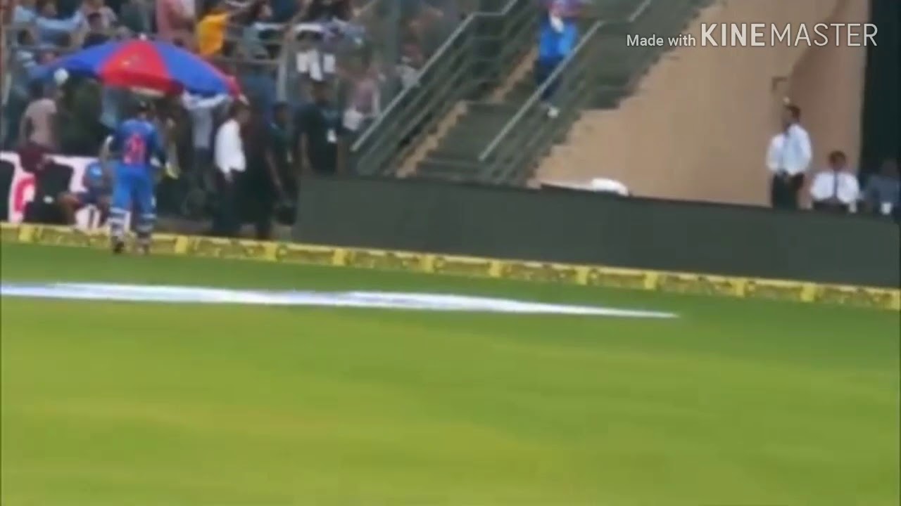 MS Dhoni  Top 5 Entries in Ground  fans go ||WILd