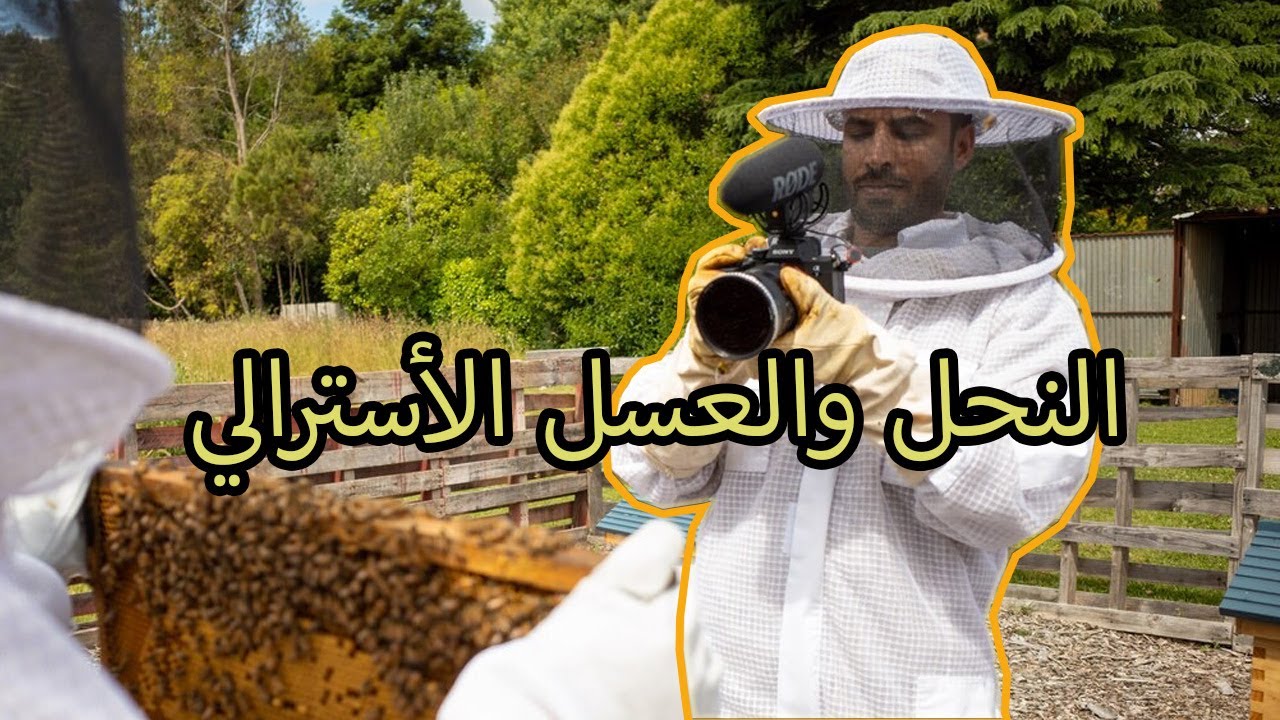 النحل والعسل الأسترالي - honey farm Australia
