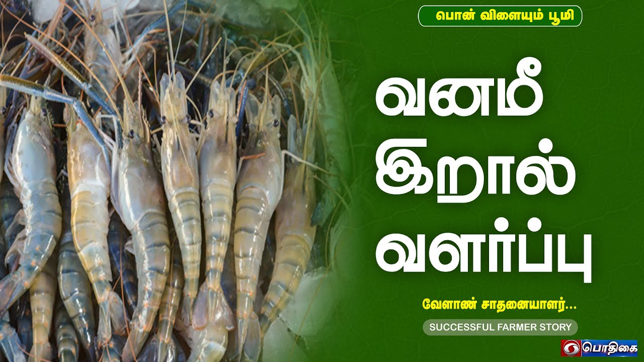 வனமீ இறால் வளர்ப்பு | Successful Farmer Story