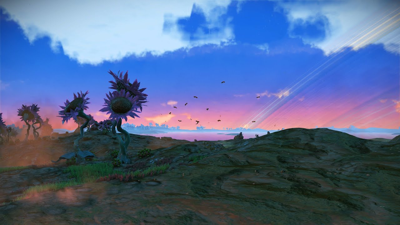 [V] No Mans Sky Expedition 5 Redux : Exobiology  today.