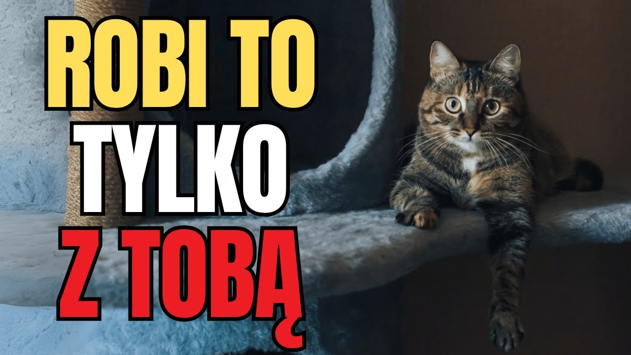 9 rzeczy, które twój kot robi tylko wtedy, gdy uważa cię za rodzinę