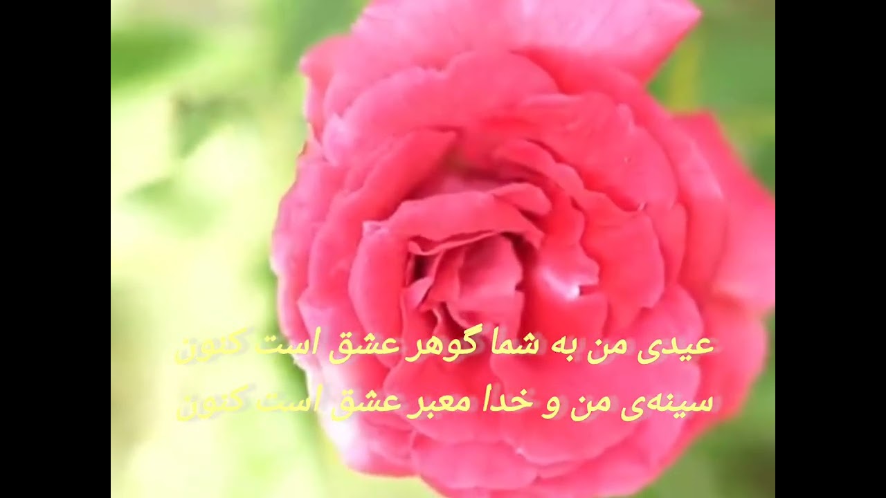 نوبهار ، شعر فارسی 