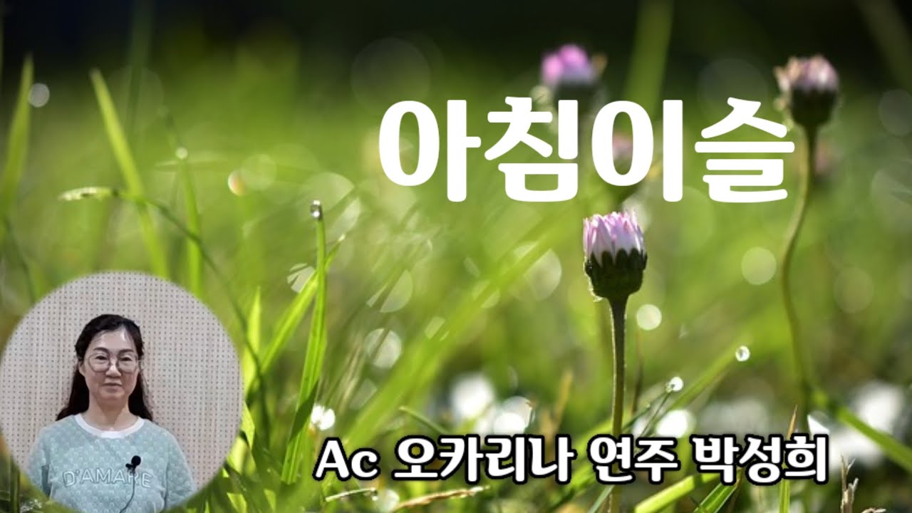 양희은 '아침이슬' / Ac ocarina cover 박성희