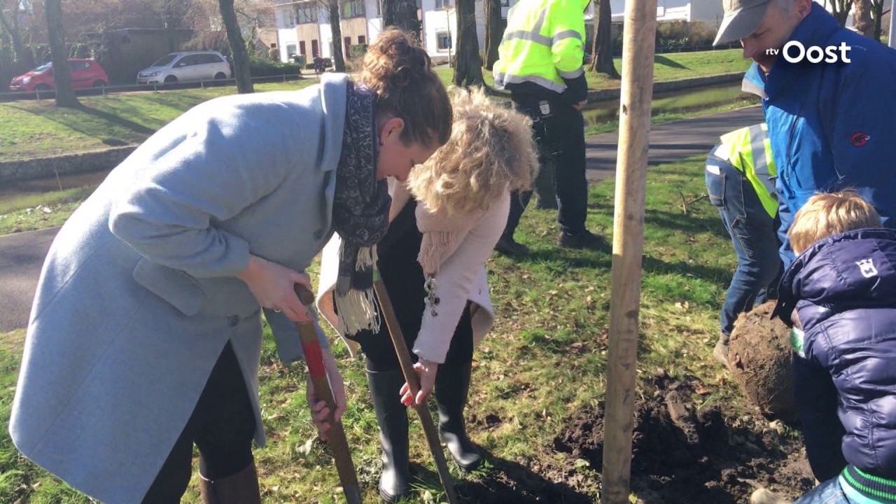Vijftig basisschoolleerlingen planten bomen in Oldenzaal