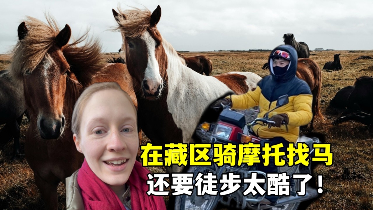 Life in Tibet: my Chinese husband + dad just took off on a motorbike to find the horses.🏍️🐴