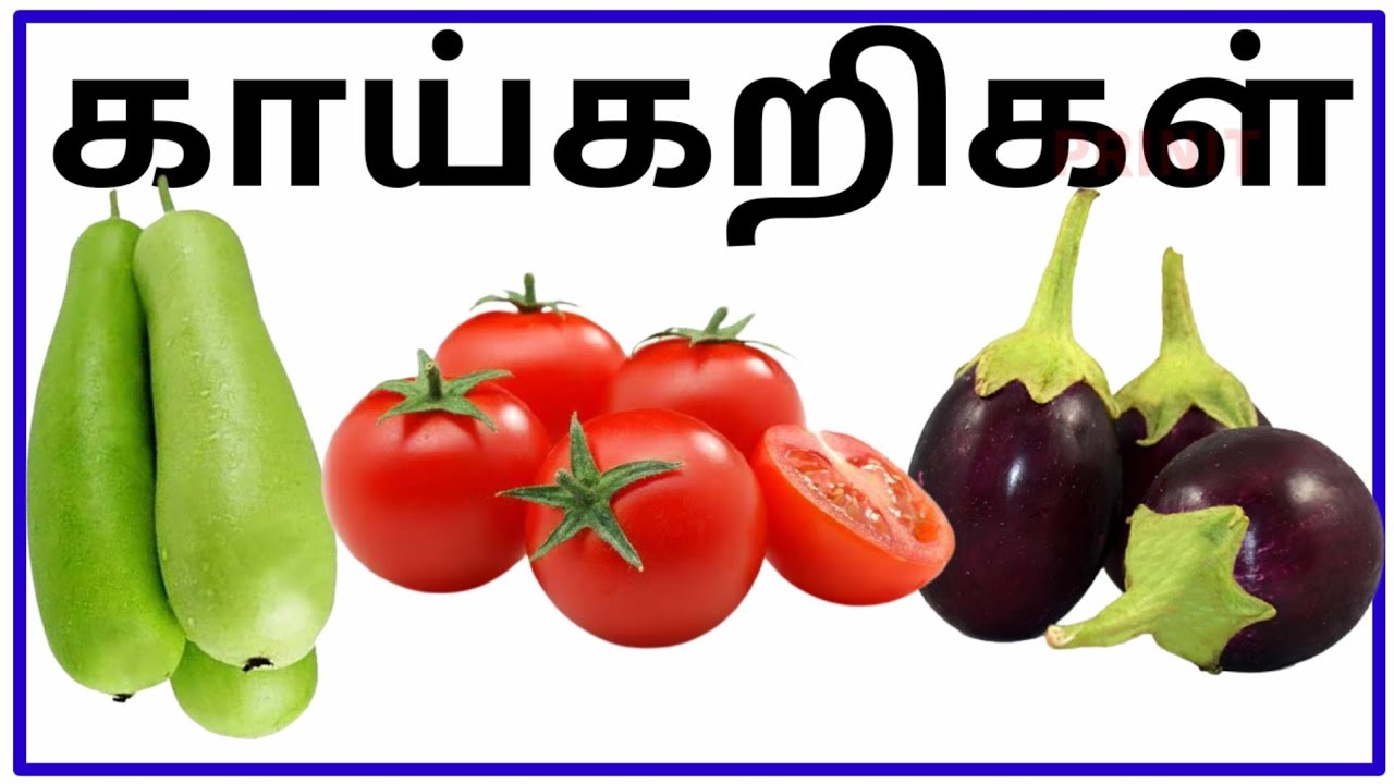 காய்கறிகளின் பெயர்கள் தமிழில்|vegetables names in tamil|adipadaei tamil|prinit