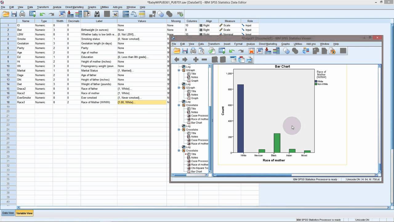 Week 8 - Part 4 - Recoding categorical variables in SPSS