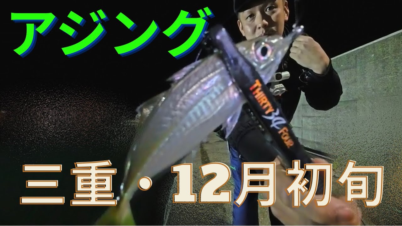 【アジング】12月初旬　三重アジング　サイズアップ