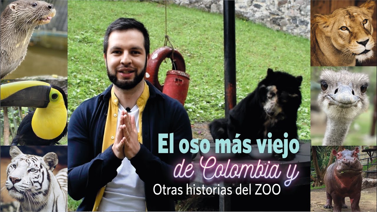 ¿Cómo funciona el Zoológico de Santacruz?: Mitos y realidades | Jhon, el oso más viejo de Colombia