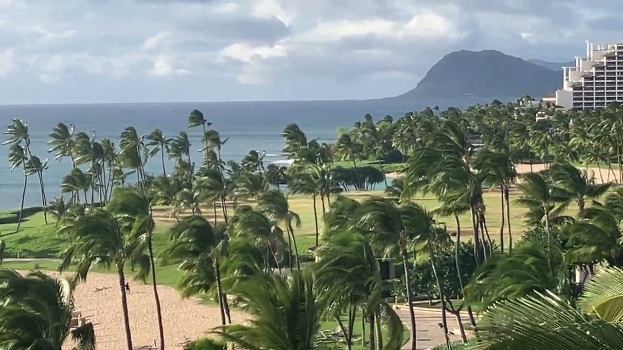 February 15th 2026 Oahu