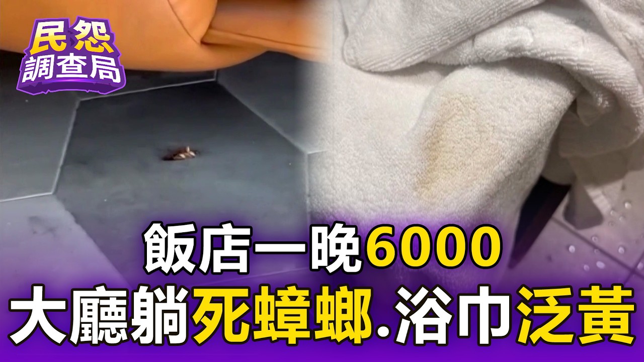 飯店一晚6000 大廳卻躺死蟑螂 浴巾泛黃又濕【民怨調查局】