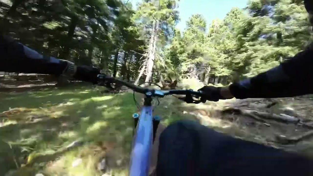 Trail 22 (half) | Parnassus Greece