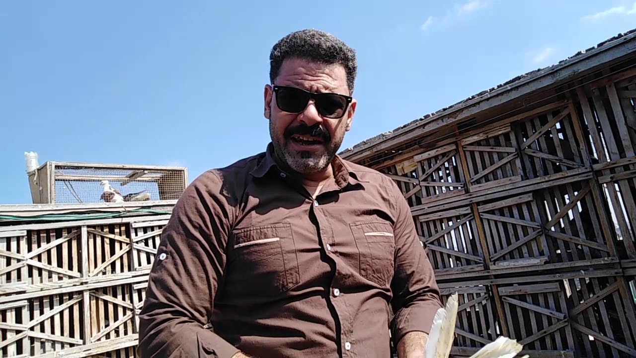 ازاى اعرف مسميات الأبلق# احمد ماكو واحلى حاجه فى الدنيا