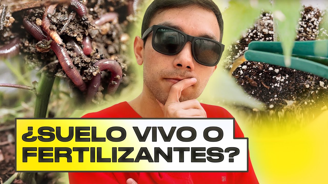 Gu&iacute;a para Hacer Living Soil para Cultivar Cannabis