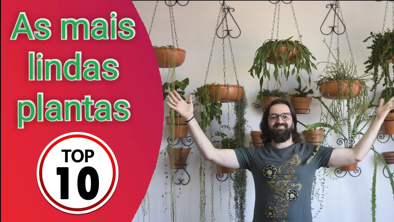 10 PLANTAS PENDENTES PARA APARTAMENTO