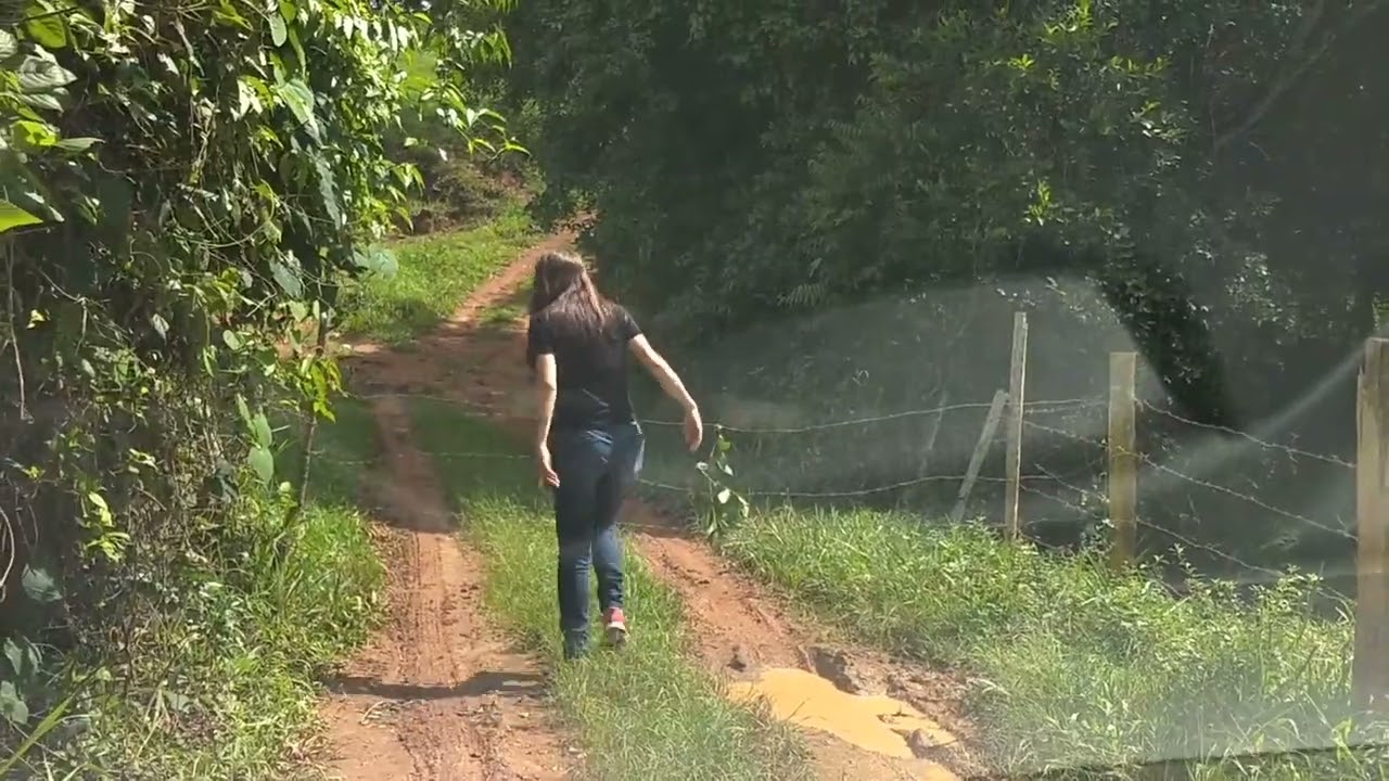 Aventuras na ro&ccedil;a
