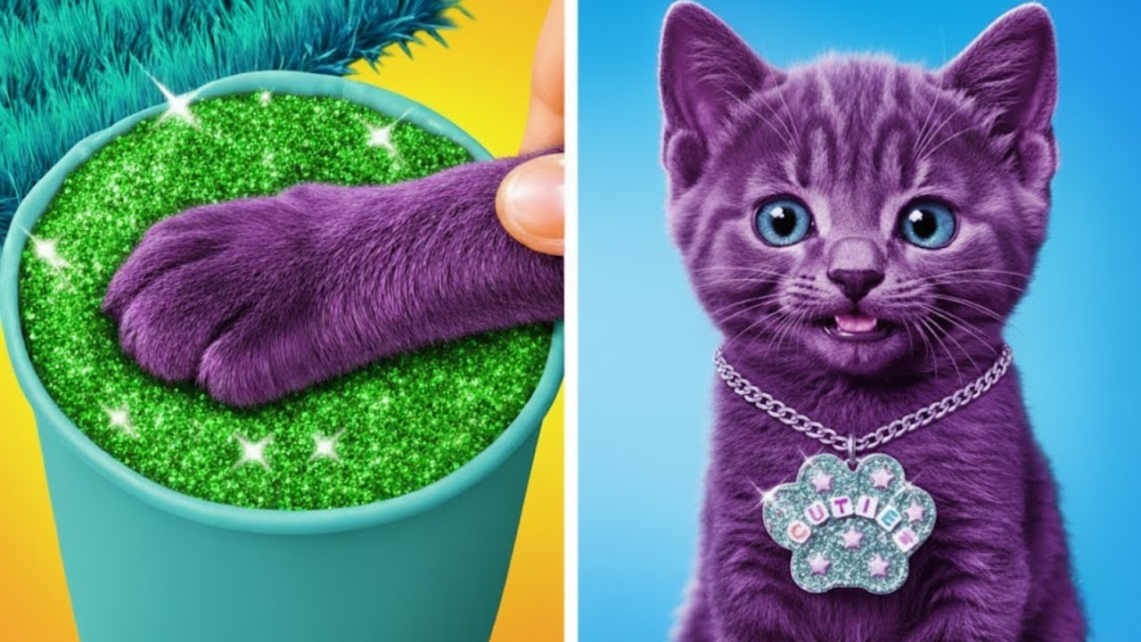 Mini Paw DIY: Royal Comfort for your Favorite Cat 🐱✨