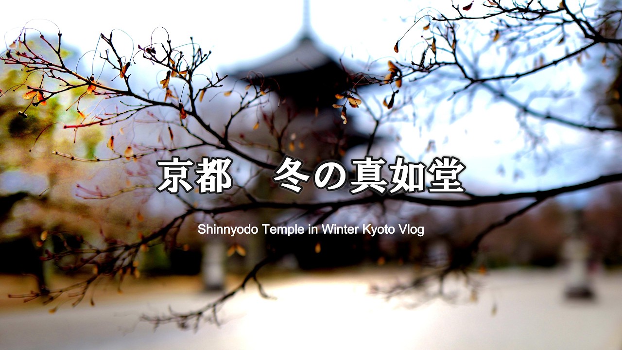 冬の真如堂｜誰もいない色を失った京都｜静寂だけが残った寺紅葉の名所｜その裏の顔冬こそ、本当の京都深すぎる｜本当は教えたくない秋より美しい？冬の真如堂｜人が消えた京都の名所