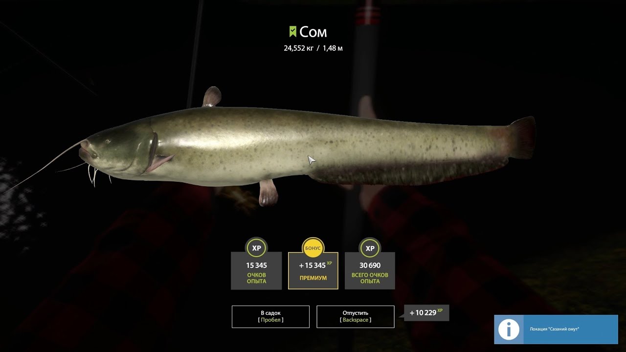 Крупные сомы, карпы и осетры на мах РР4. Catfish, Carp, Sturgeon, RF4 Float Fishing.