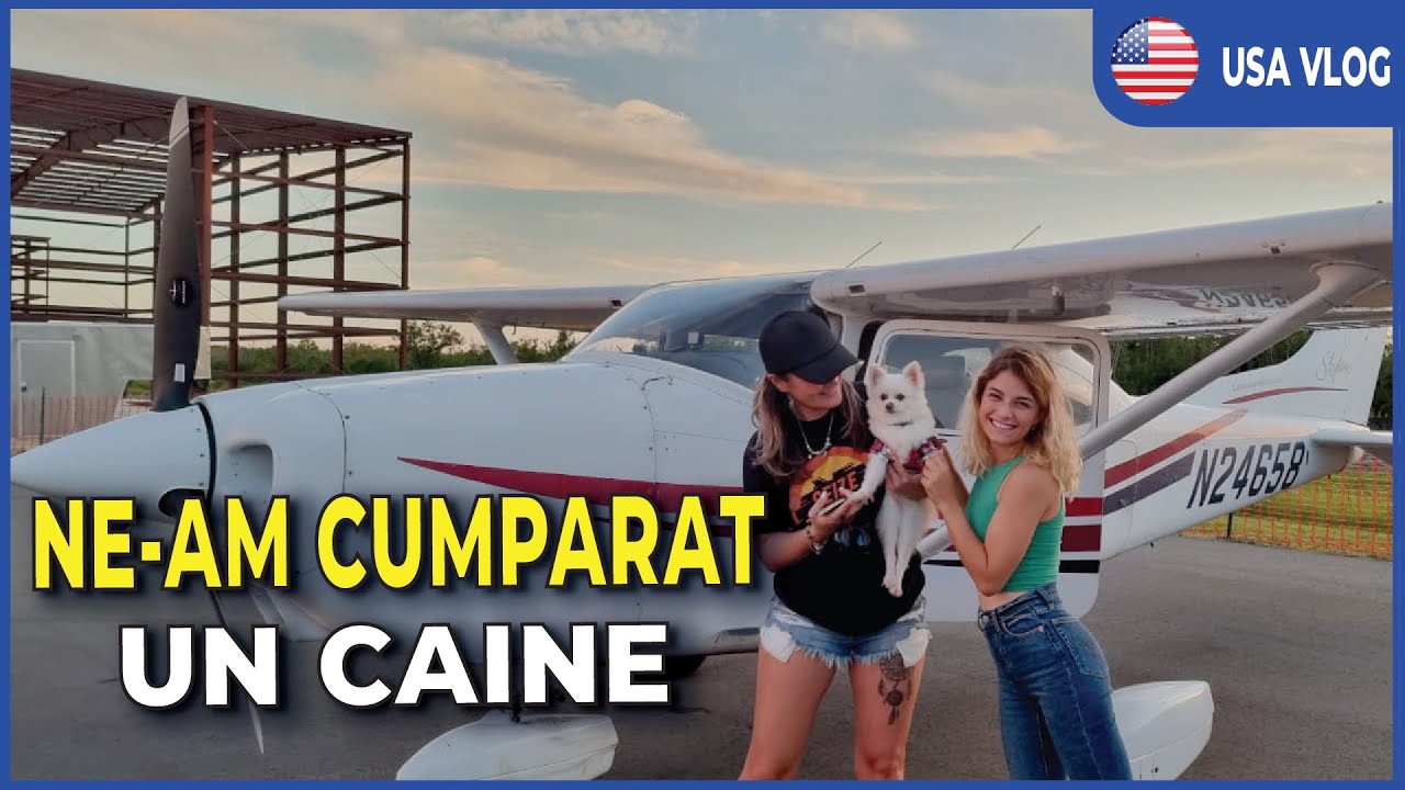 ZBOARA CU CAINELE INTR-UN AVION PRIVAT 🐕 | USA Vlog #21