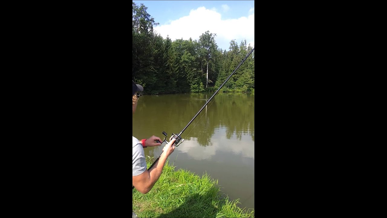 Sascha und das Monster vom Wundschuher See