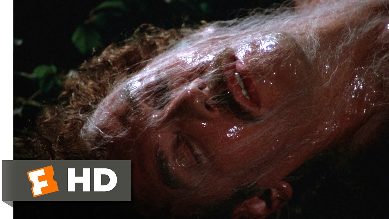 Invasion of the Body Snatchers (7/12) Movie CLIP - Escaping the Pod People (1978) HD