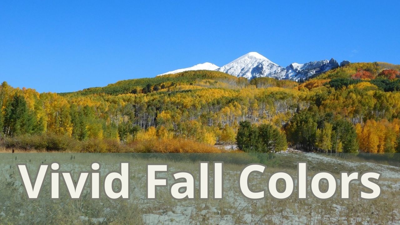 Golden Aspen Forest in Fall 🍁 Flat Tops Colorado Relaxation Music (No Talking)