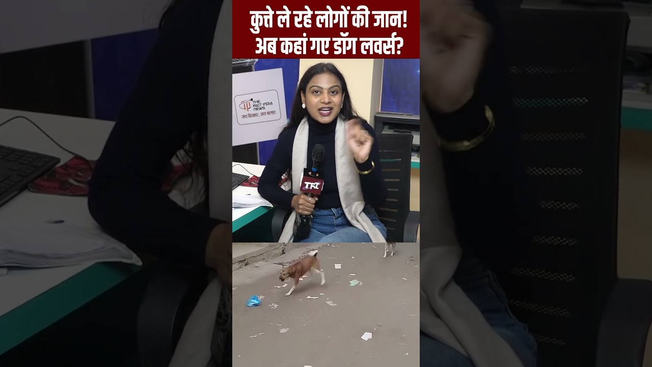 Dogs ले रहे लोगों की जान! अब कहां गए Dog Lovers? | Dog Videos | Viral Video | Viral News | #Shorts